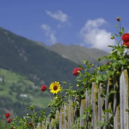 Gasserhof Garni & Апарт-отель 3*