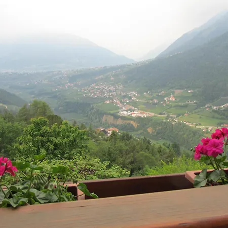 Апарт-отель Gasserhof Garni & Скена