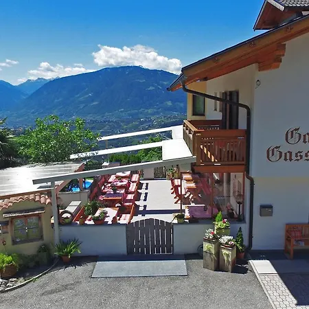 Gasserhof Garni & Апарт-отель Скена