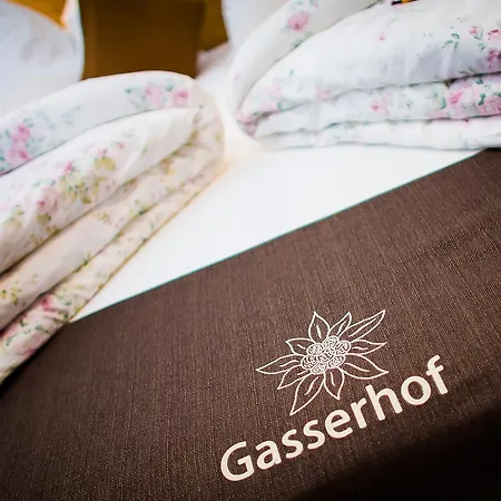 Gasserhof Garni & 3* Скена