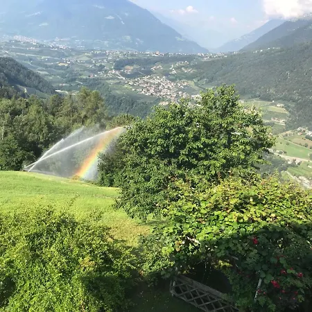 Gasserhof Garni & Апарт-отель 3*